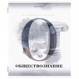 Тетради предметные, КОМПЛЕКТ 12 ПРЕДМЕТОВ, "CALM", 48 л., матовая ламинация, лак, BRAUBERG, 404844