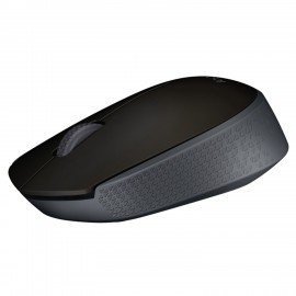 Мышь беспроводная LOGITECH M171, 2 кнопки + 1 колесо-кнопка, оптическая, черная, 910-004424