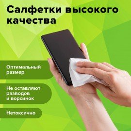 Салфетки для экранов, стекол и пластика универсальные STAFF "EVERYDAY", туба 100 шт., влажные, 512657