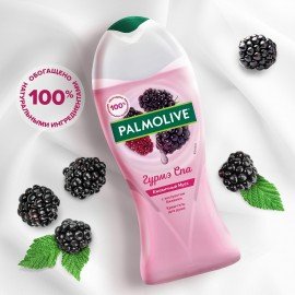 Гель для душа 250 мл, PALMOLIVE ГУРМЭ СПА "Ежевичный мусс", 8718951180369