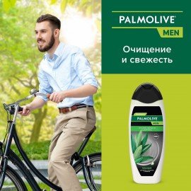 Шампунь мужской 450 мл PALMOLIVE НАТУРЭЛЬ "Экстракт шалфея", против перхоти, 8718951556577