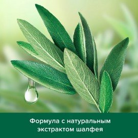 Шампунь мужской 450 мл PALMOLIVE НАТУРЭЛЬ "Экстракт шалфея", против перхоти, 8718951556577