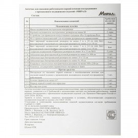 Аптечка первой помощи работникам, по приказу №262н, МИРАЛ, пластиковый шкаф, АРШП-Н