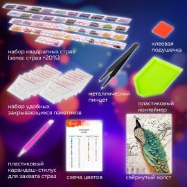 Картина стразами (алмазная мозаика) 40х50 см, ОСТРОВ СОКРОВИЩ "Павлин", без подрамника, 662411