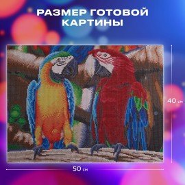 Картина стразами (алмазная мозаика) 40х50 см, ОСТРОВ СОКРОВИЩ "Попугаи", без подрамника, 662413