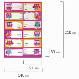 Наклейки для маркировки школьных принадлежностей "Совы", 12 штук, 14х21 см, ЮНЛАНДИЯ, 662710