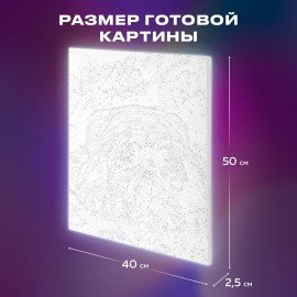 Картина по номерам 40х50 см, ОСТРОВ СОКРОВИЩ "Мечтай!", на подрамнике, акрил, кисти, 662904