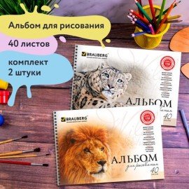 Альбомы для рисования ДЭК А4, 40 л., КОМПЛЕКТ 2 шт., гребень, обложка картон, BRAUBERG, 205х290 мм, "Хищники" (2 вида), 880028