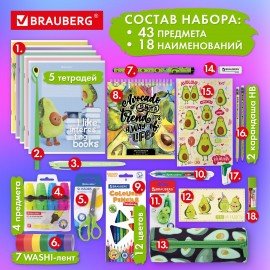 Набор канцелярии подарочный BRAUBERG "AVOCADO", 18 наименований, 43 предмета, 880951