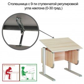 Стол-парта регулируемый "ДЭМИ" СУТ.28, 900х530х530-815 мм, серый/ясень (КОМПЛЕКТ)